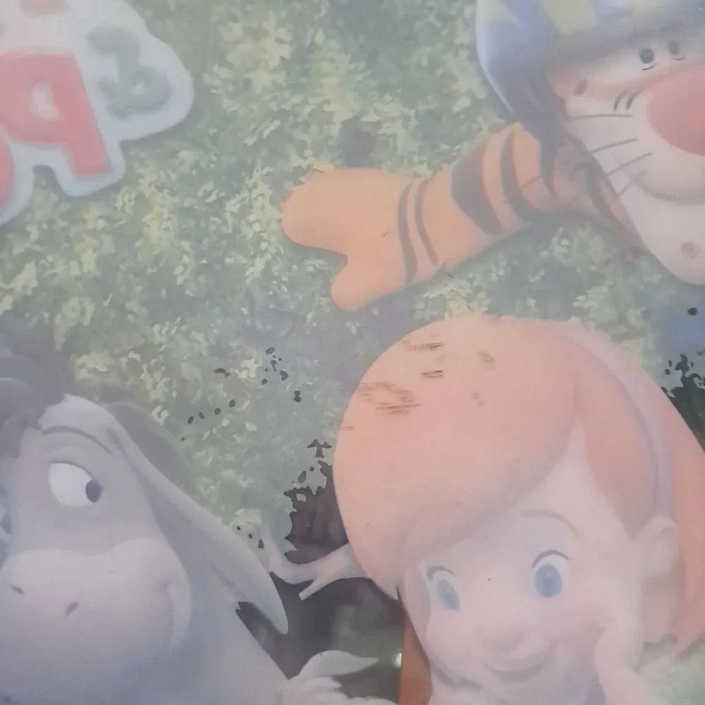 N/A disney placemats